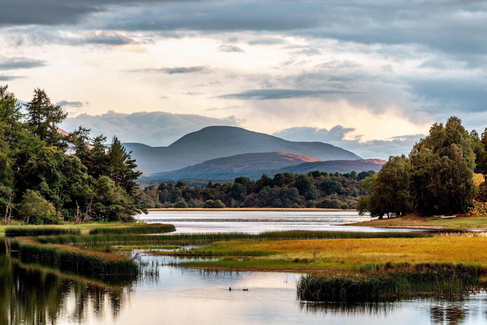The Lochside Loop walk at Kincraig on Loch Insh
