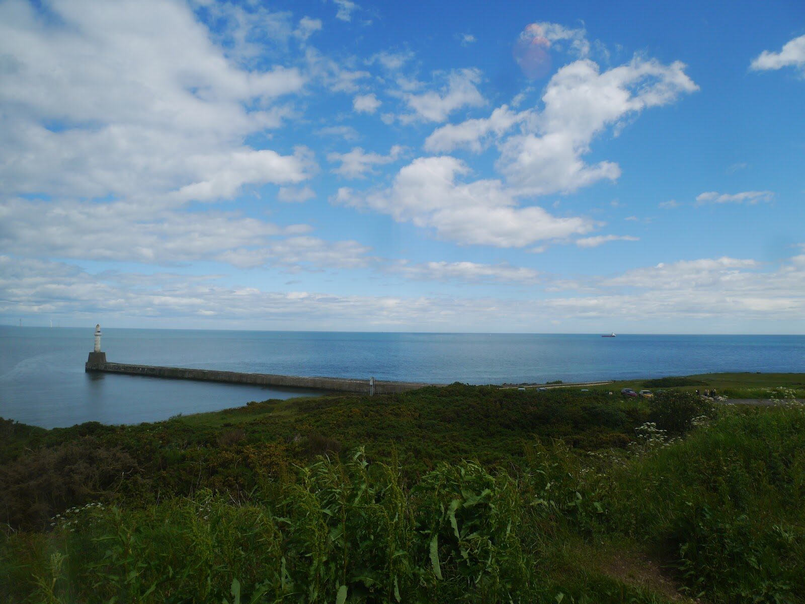 Dolphins at the Torry Battery