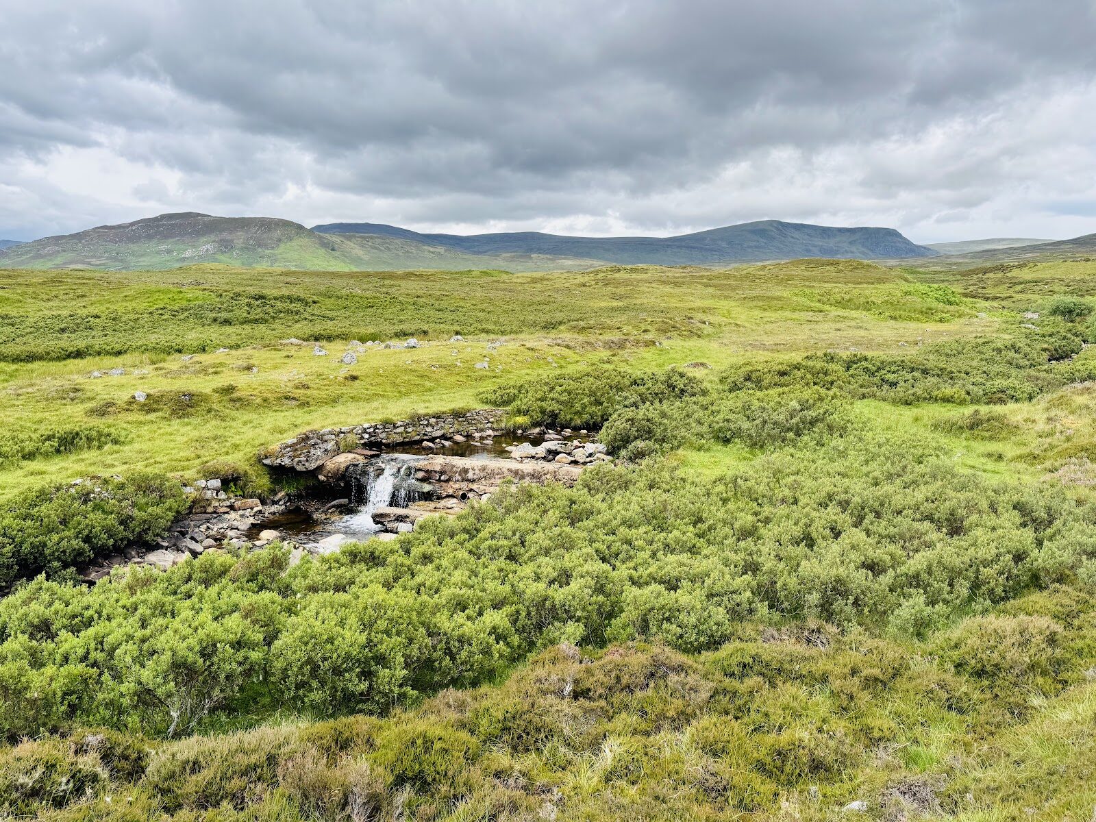 The Wildcat Trail walk round Newtonmore