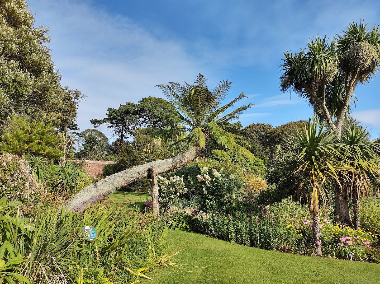 Logan Botanic Garden at Port Logan