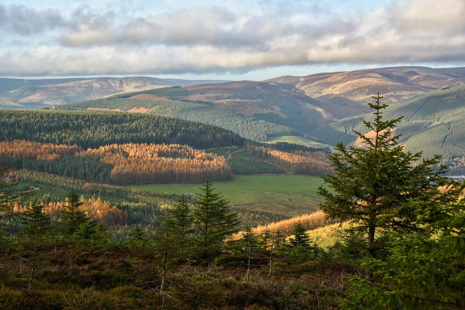 A walk up Minch Moor by the Cheese Well