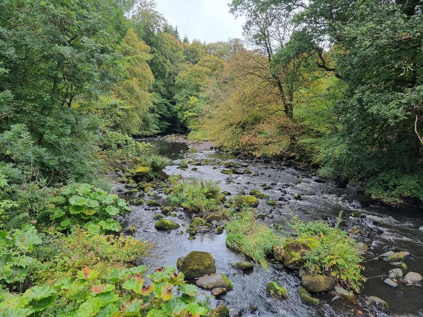 A walk in Carron Glen