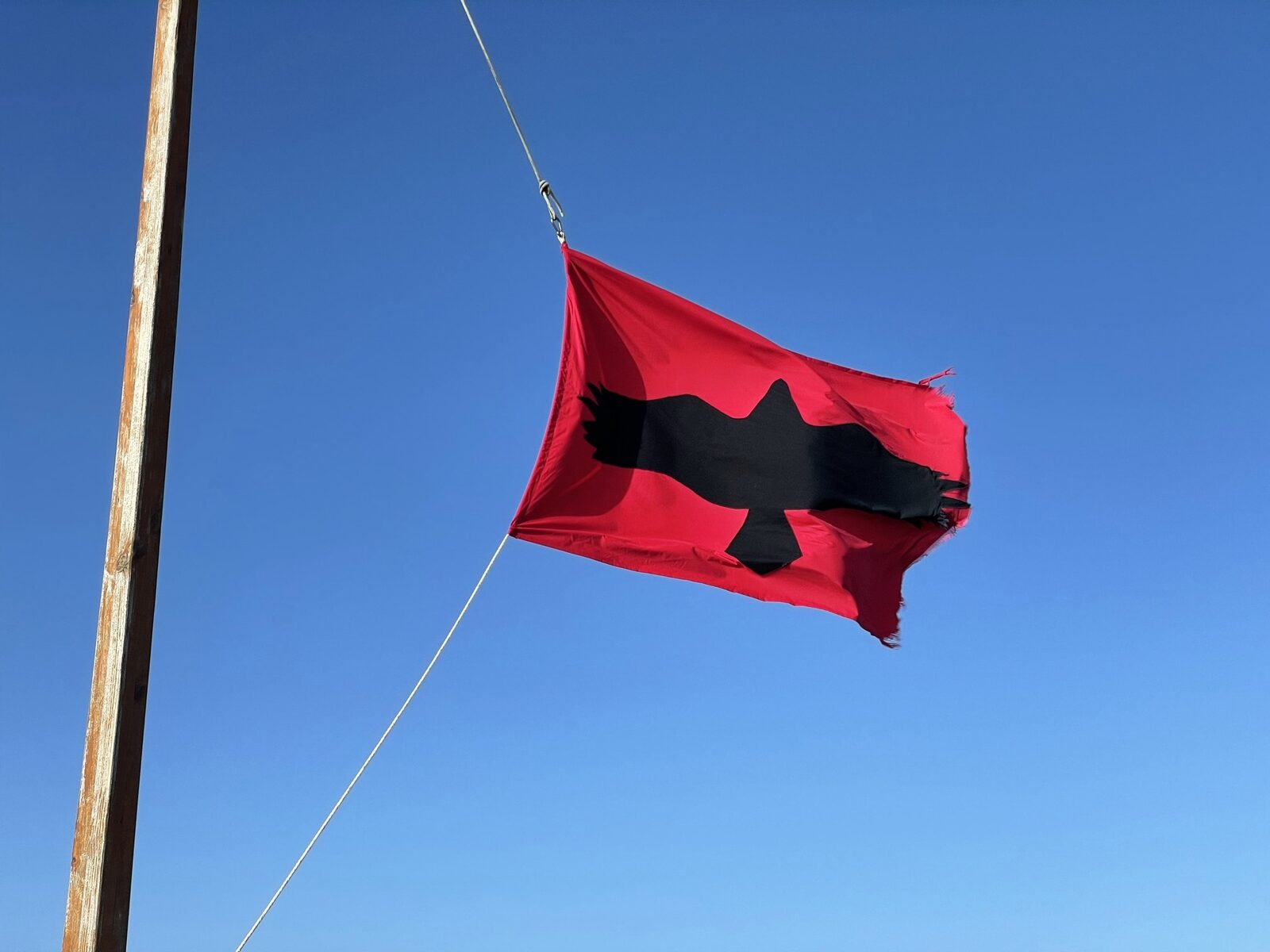 The Raven Banner, the Up Helly Aa flag