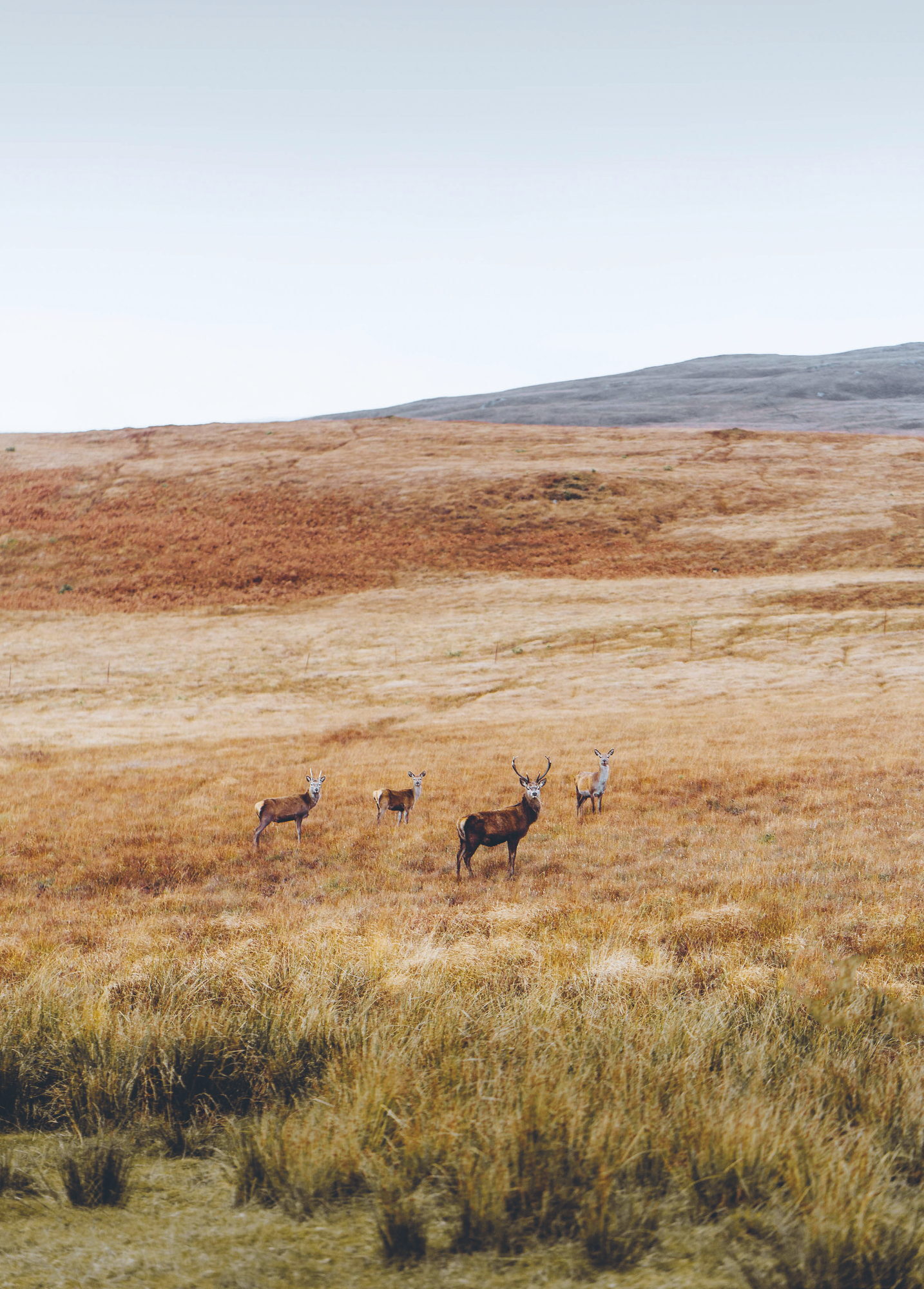 JURA - Traveller’s Tales, photograph by Jack Anstey and Sarah