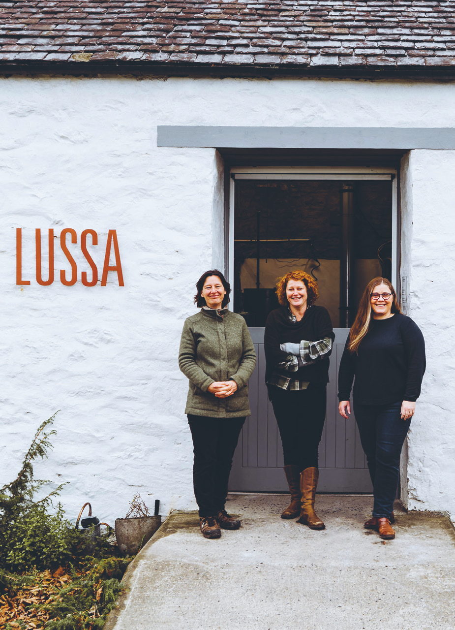 Clockwise from top left: Deer Island Distillers, Camella Crafts, The Whisky Island Gallery & Studio and Lussa Gin