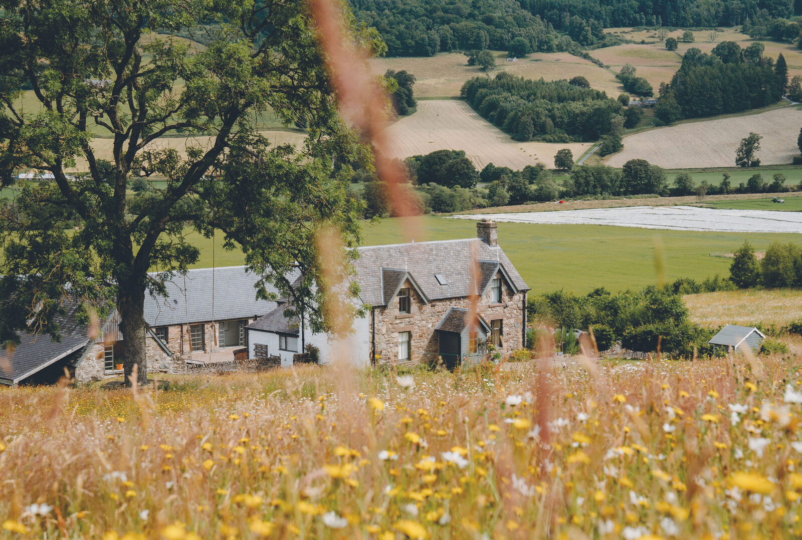 Ballintaggart - Where Scotland Grows