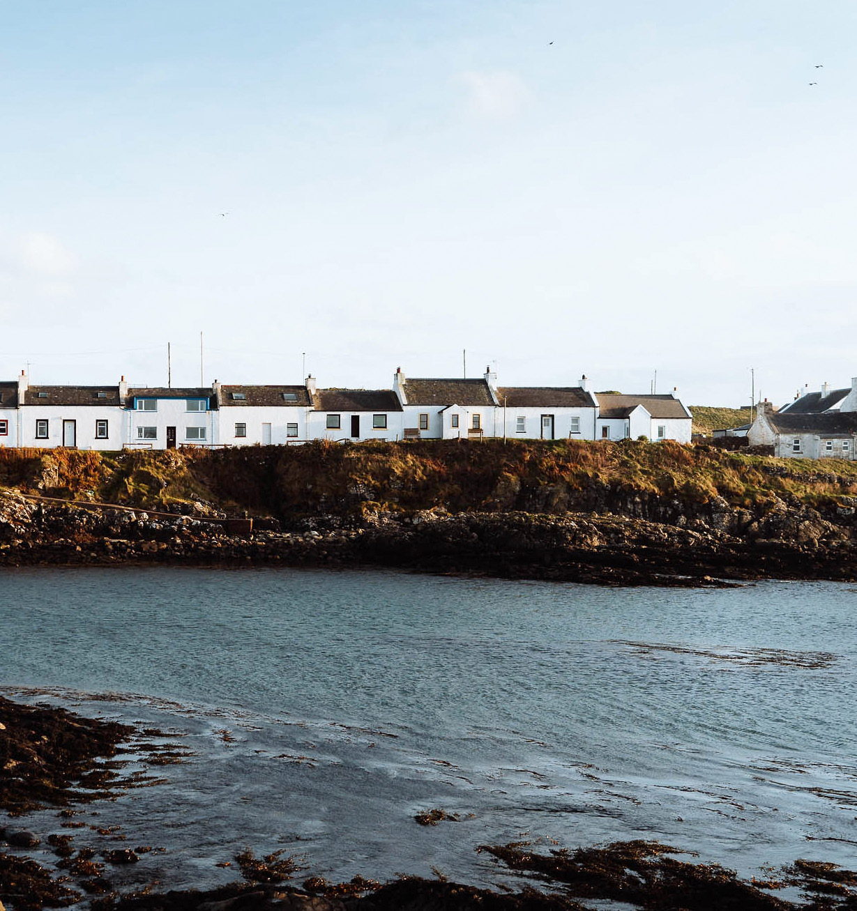 In Search of Otters on Islay, photograph by Jack Anstey