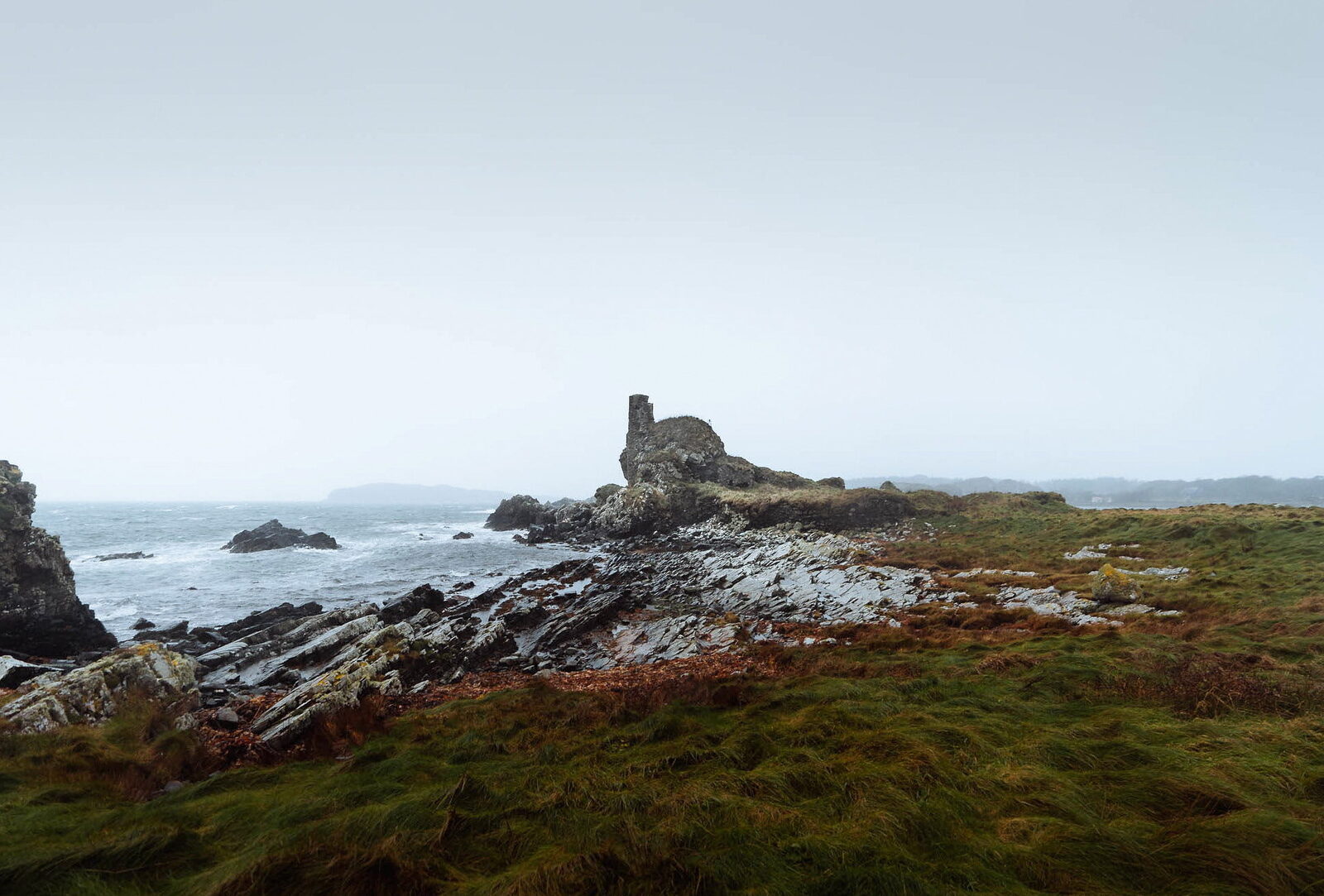 In Search of Otters on Islay