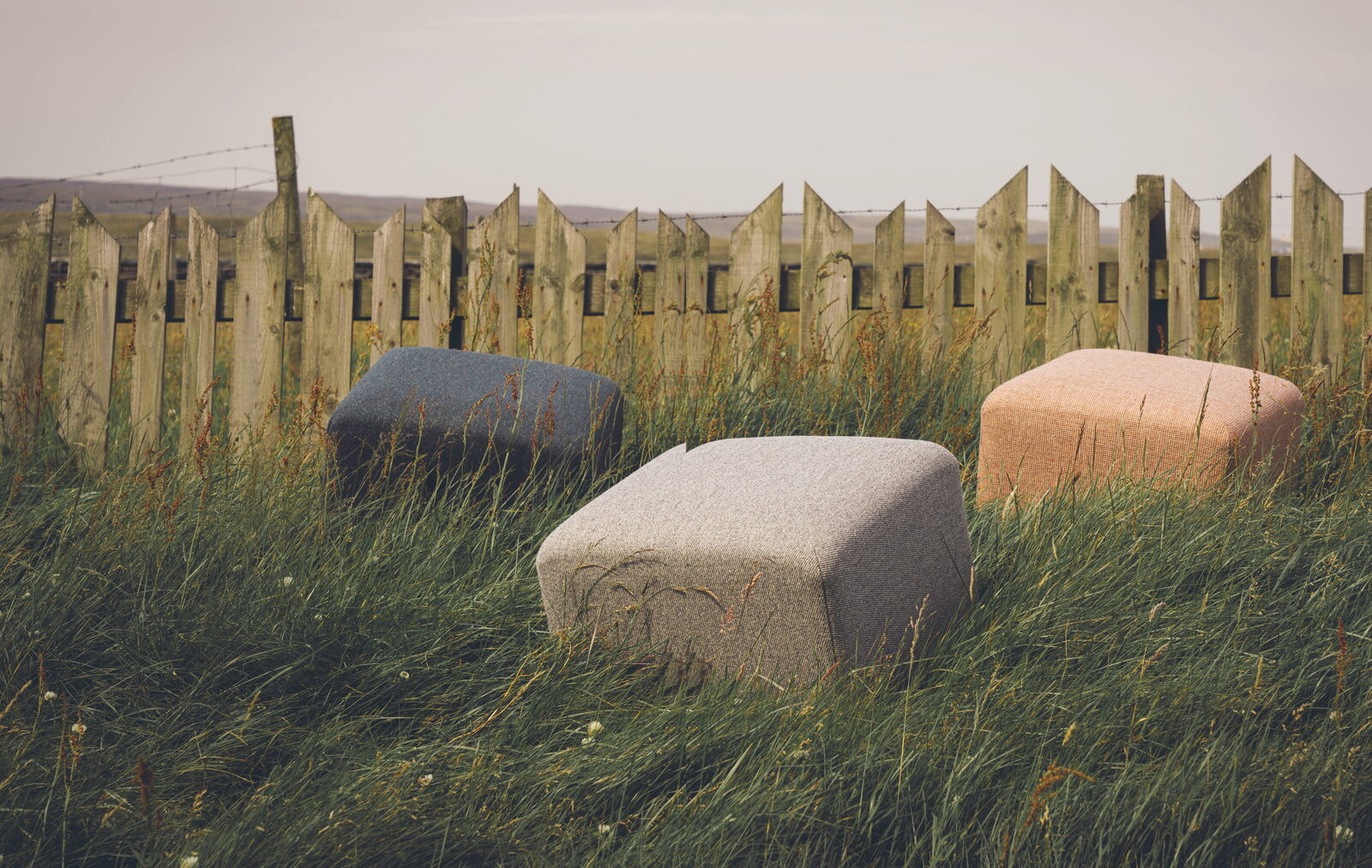 words // Lucy Gillmore - photography // Murray Orr