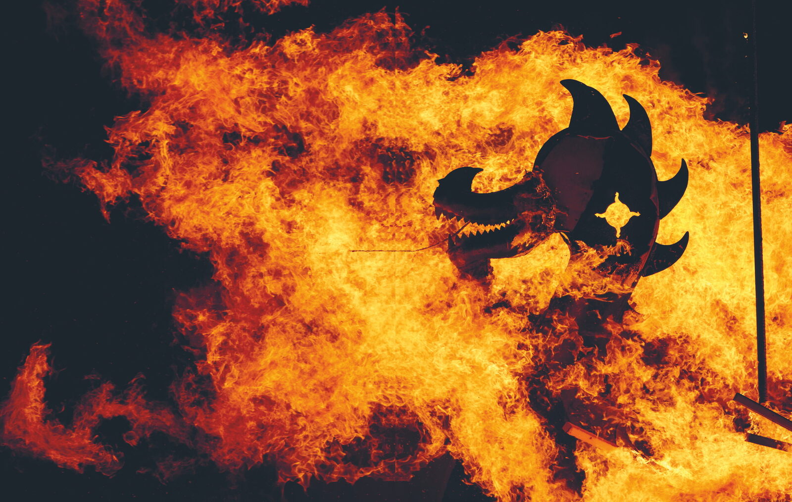 Your Essential Guide to Up Helly Aa