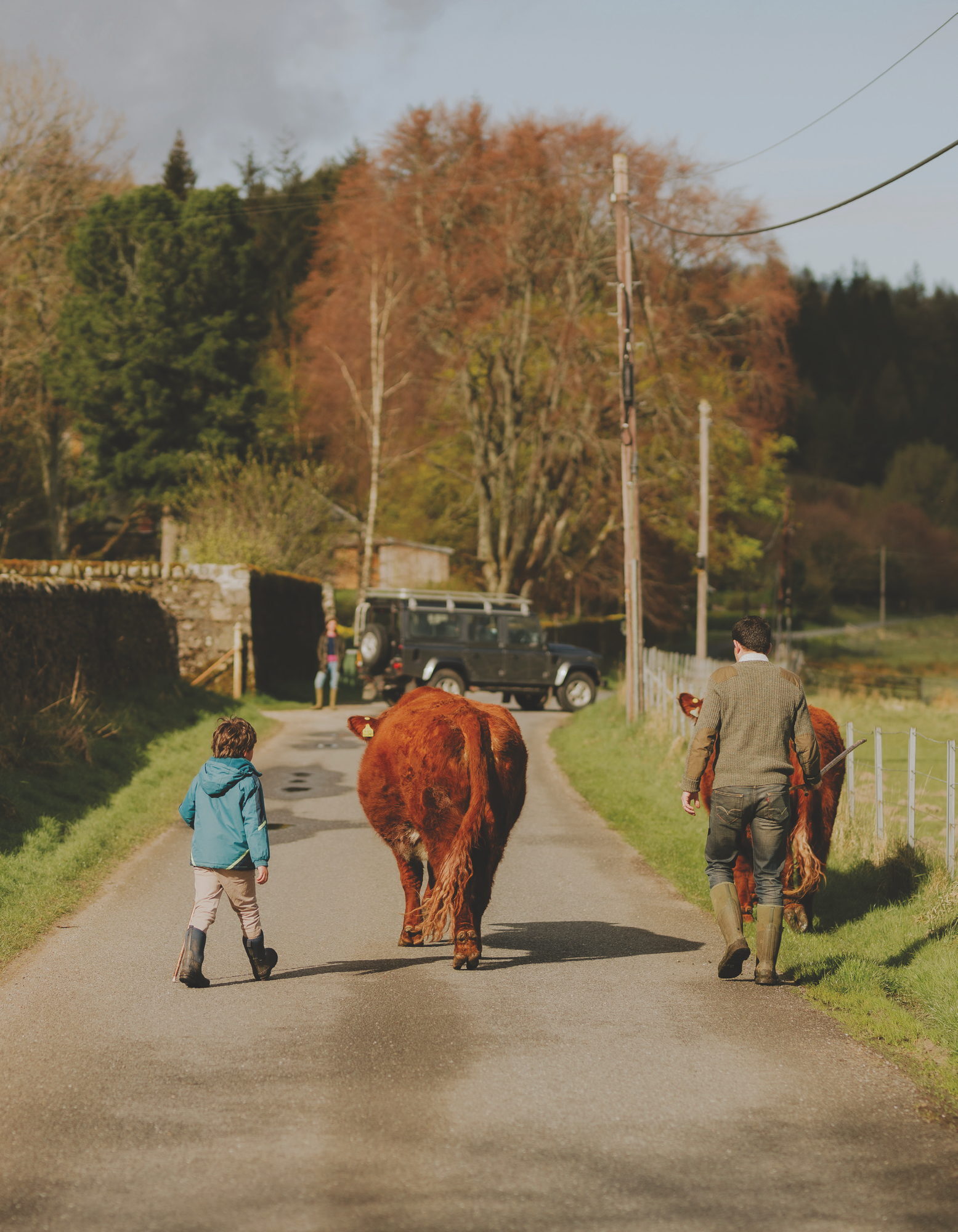 A Modern Highland Life, photograph by Alex Martin