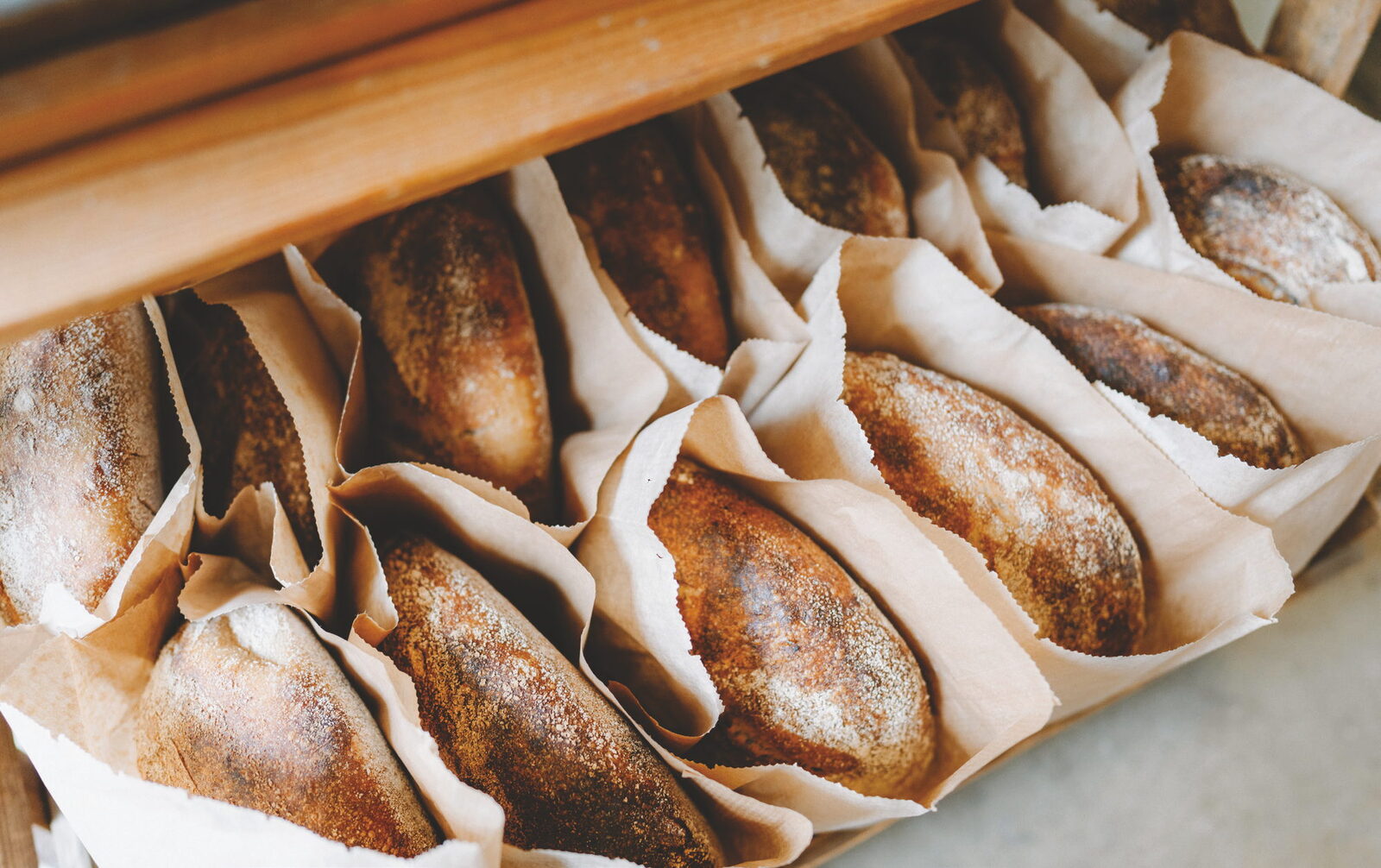 Fields of Gold - Scotland’s Ancient Grains