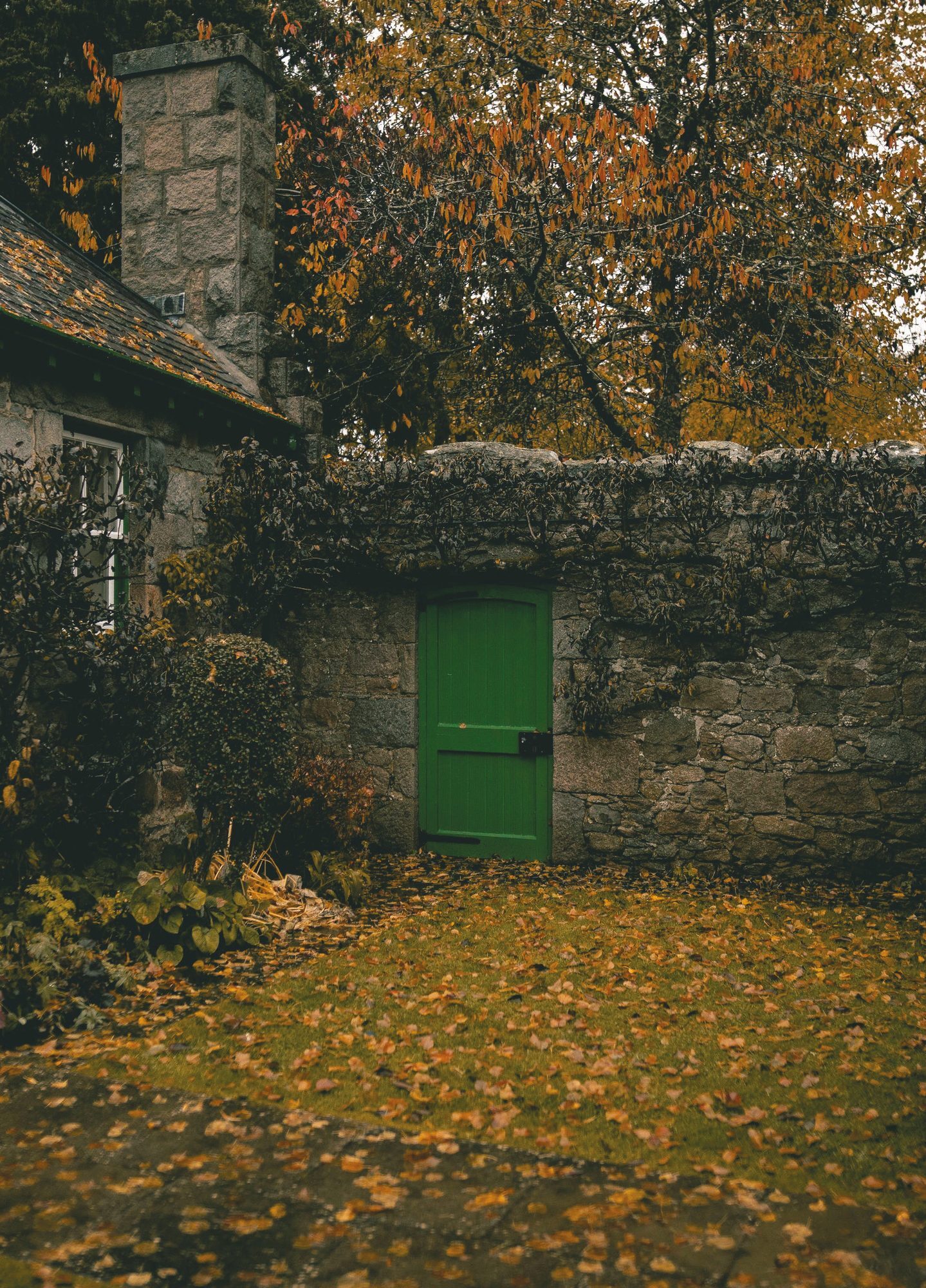 Stone bothy with green door and fallen autumn leaves