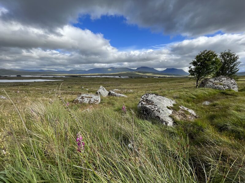 Rannoch Moor Viewpoint