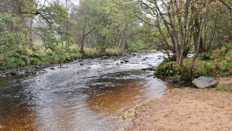 Nethy Bridge