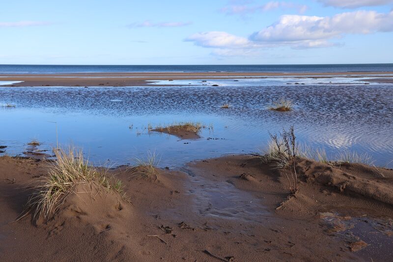 Tentsmuir Point