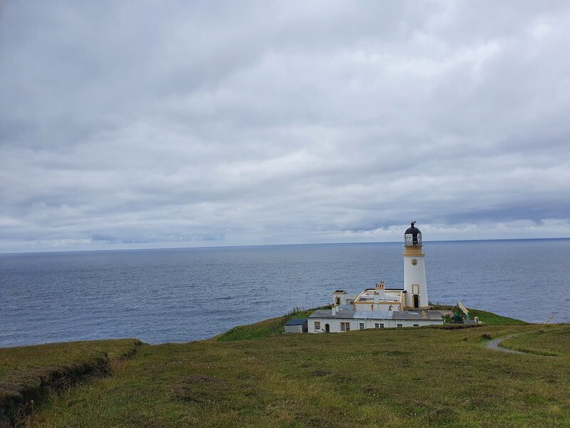 Whales and dolphins at Tiumpan Head