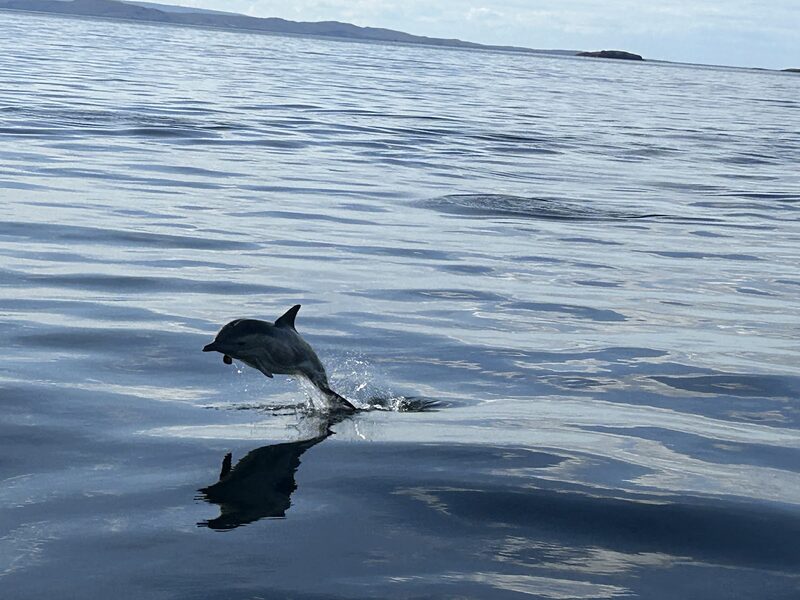 Shearwater Cruises