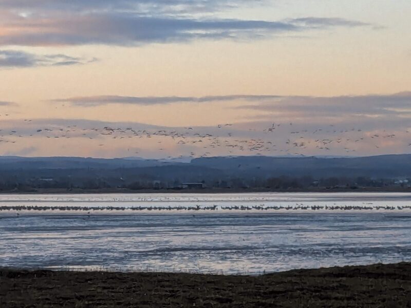 Findhorn
