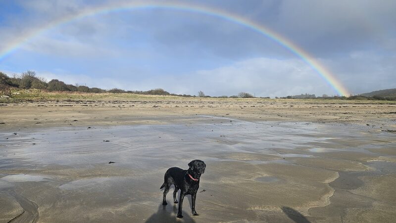 Brighouse Bay