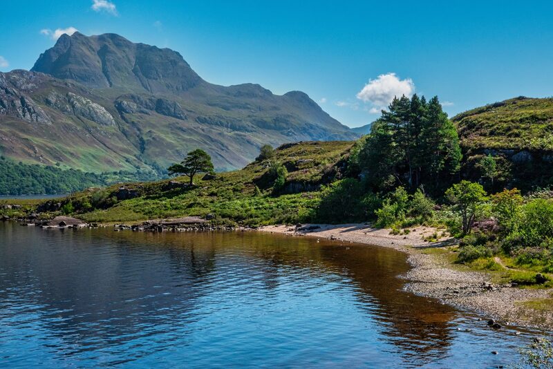 Slioch's great buttressed head above Loch Maree, with Scots pines and a small beach on the near shore under a blue sky.
