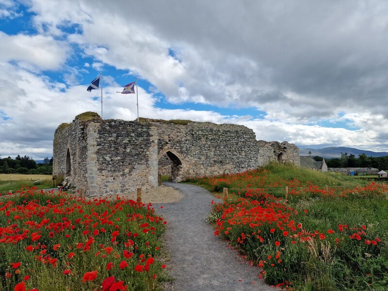 Castle Roy