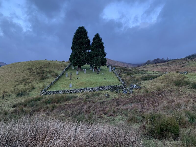 A walled burial ground under two tall dark conifers on rough pasture, beneath a heavy sky.