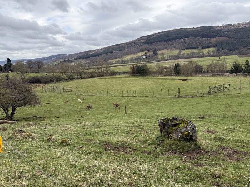 Highland Safaris