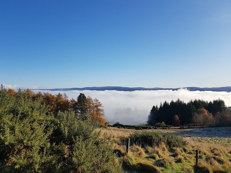 Dunain Community Woodland