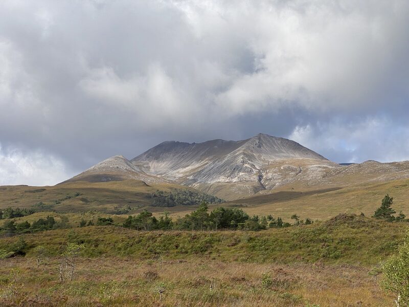 Beinn Eighe's pale quartzite ridges under heavy cloud, seen across moorland and scattered Scots pines.