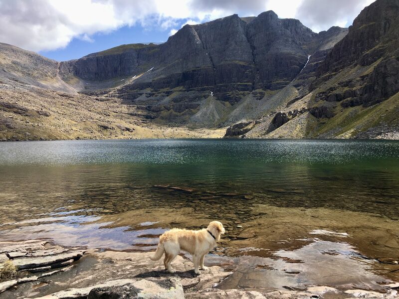 The Triple Buttress of Coire Mhic Fhearchair on Beinn Eighe above its green loch, a golden dog standing on the rock slabs at the water's edge.