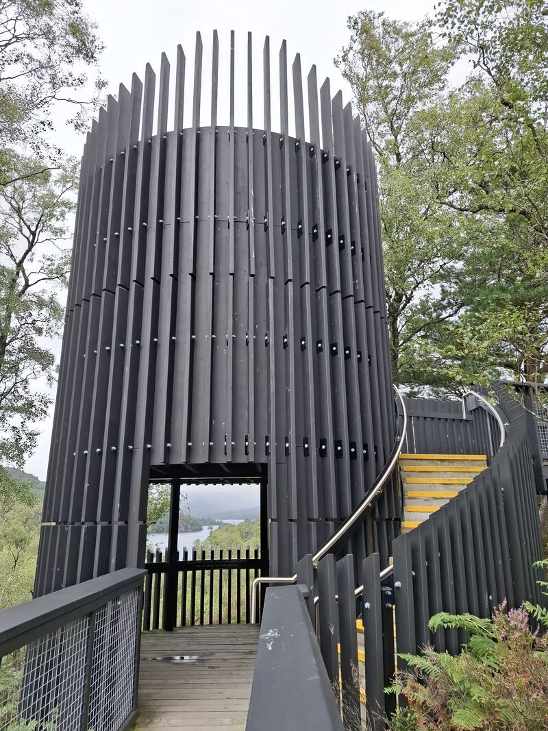The Scenic Tower
