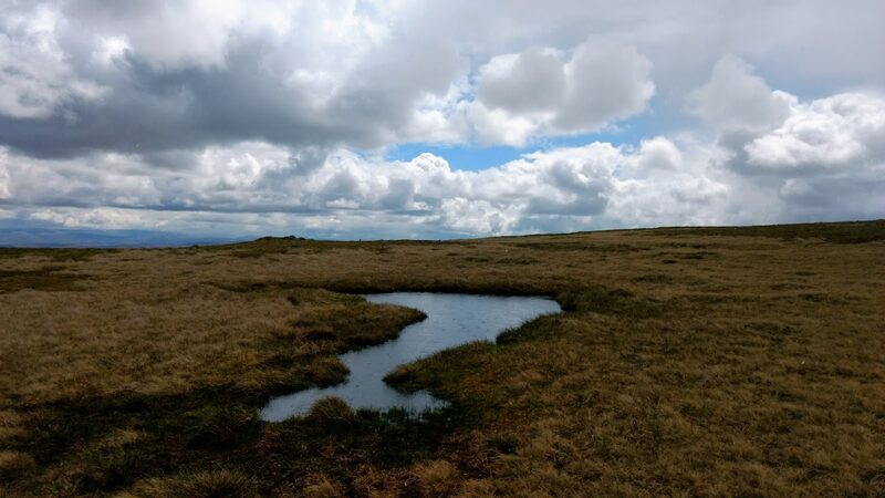 A small winding pool on flat, grassy high ground under broken cloud.