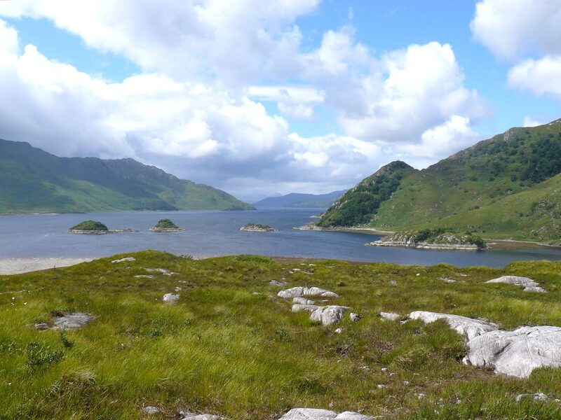 A sea loch with small wooded islets between green hills, seen across rough grass and boulders.