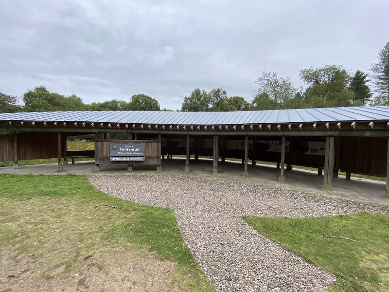 Tentsmuir Point
