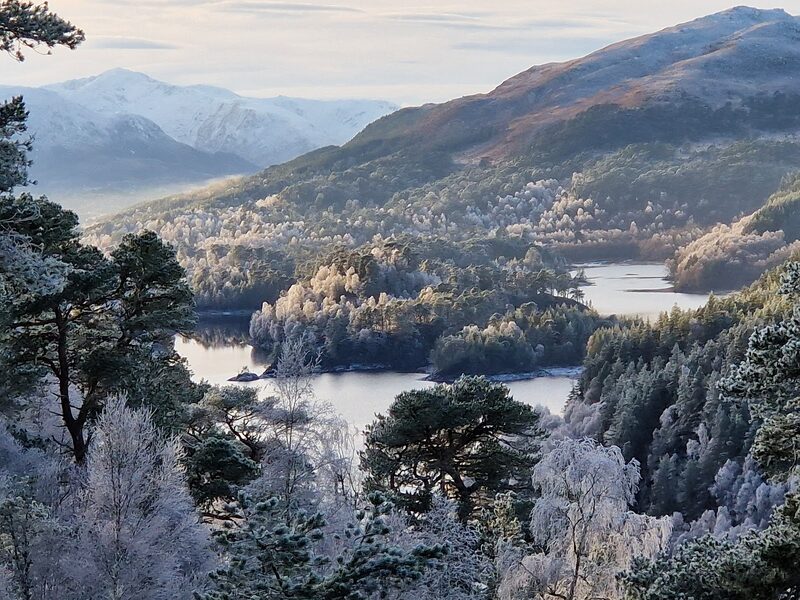 Glen Affric under hoar frost: white pines and birches above a loch, with snow on the mountains beyond.
