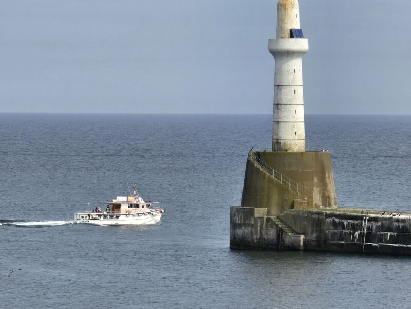 Aberdeen Harbour Tours