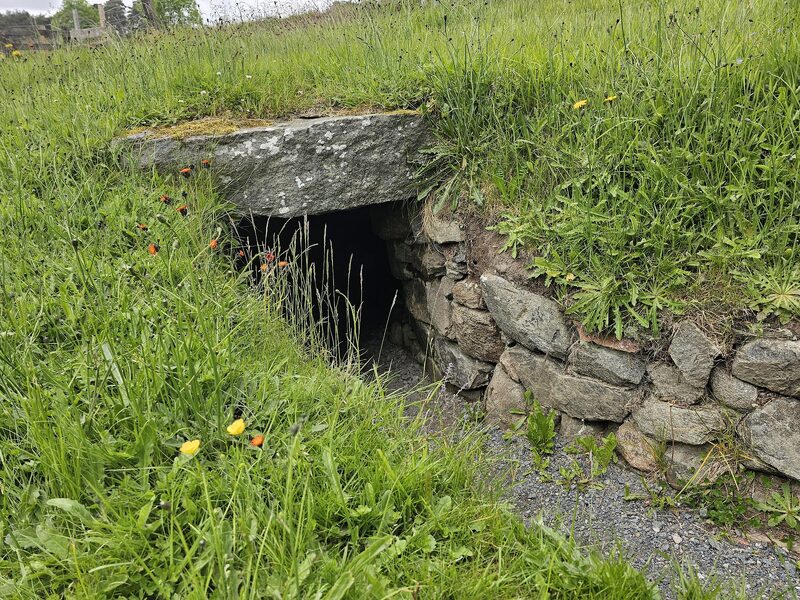 Culsh Earth House