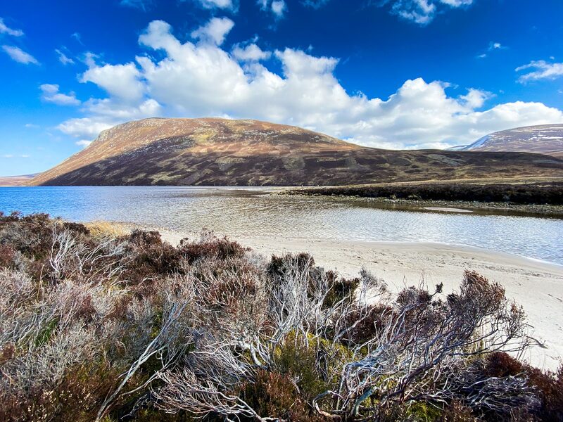 The hill's broad dome across a loch with a pale sandy shore, bleached heather in front.