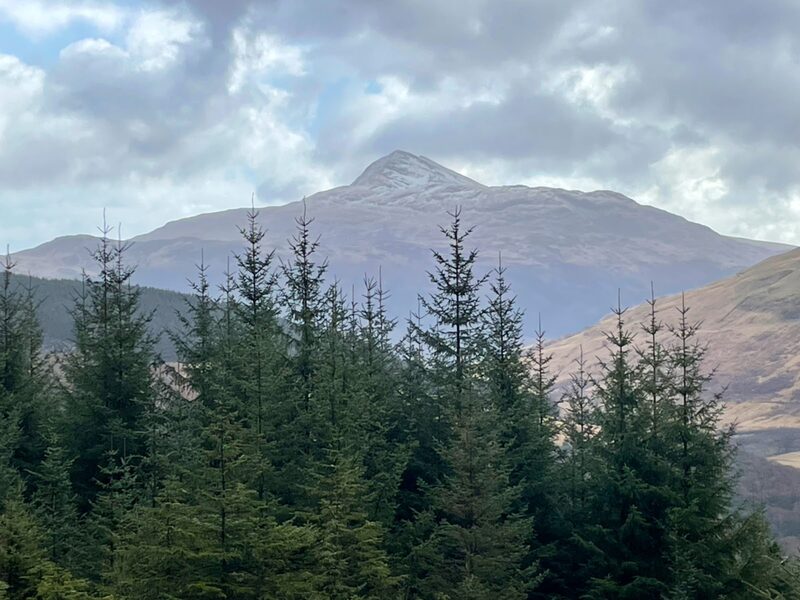 The pointed top under a dusting of snow, seen over young conifers.