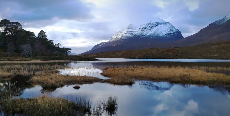 Liathach under fresh snow above a still, reedy loch and a stand of Scots pines, its reflection in the water.