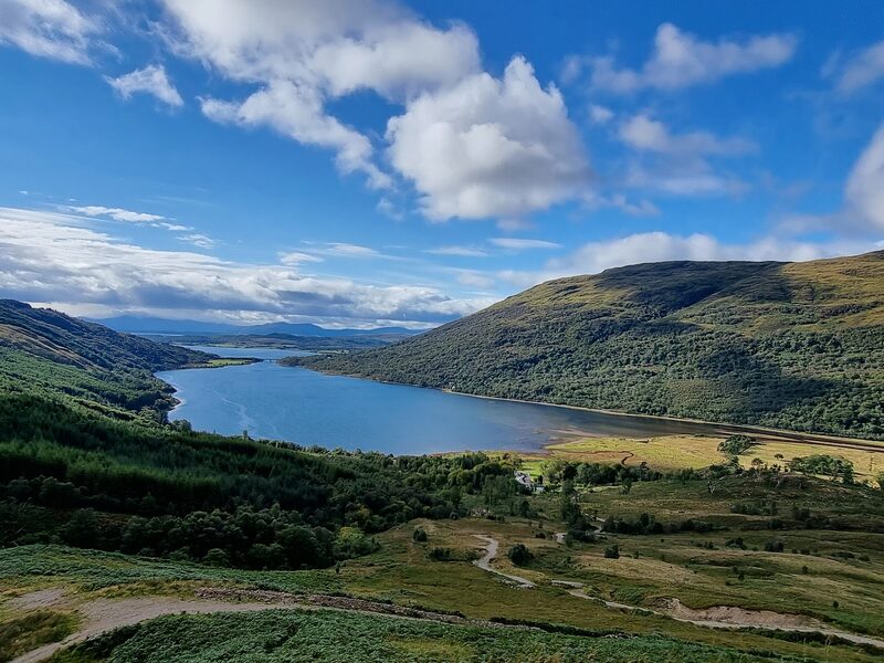 The head of the sea loch from low on the hill, a track through fields and woods below.