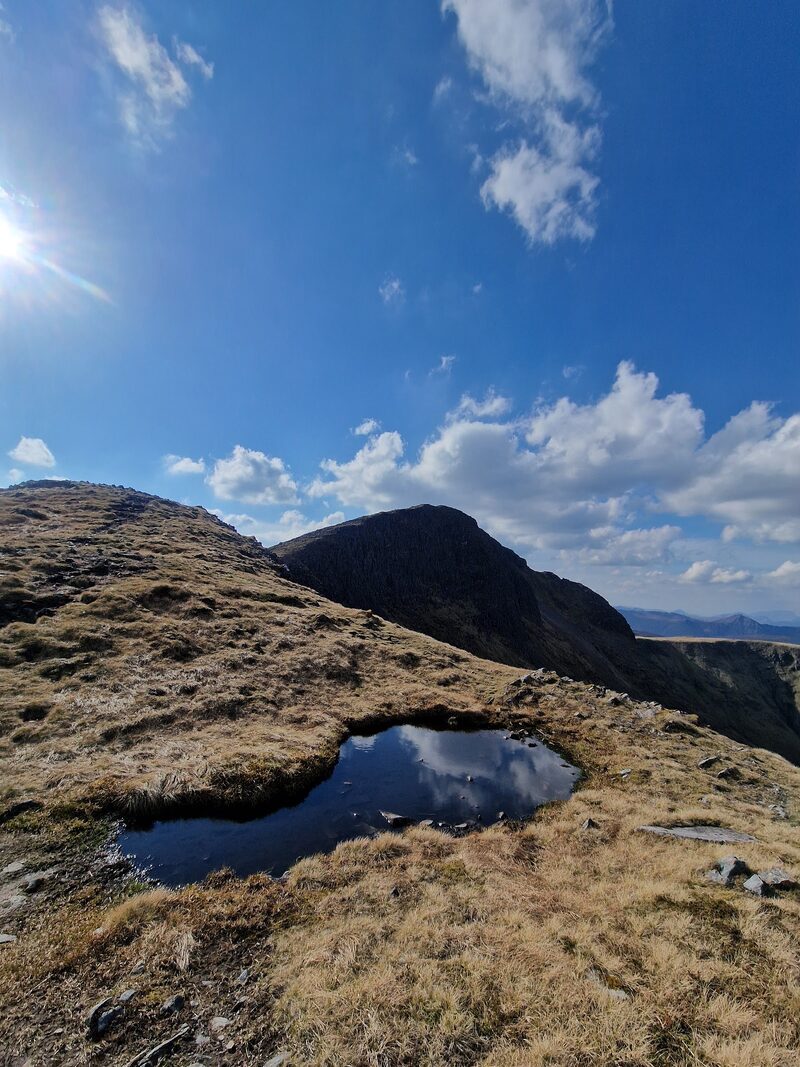A small pool on the grassy ridge with the dark summit crag beyond, in sun.