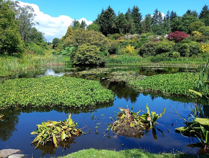Glenwhan Botanic Garden above Luce Bay