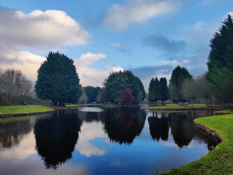 Whin Park