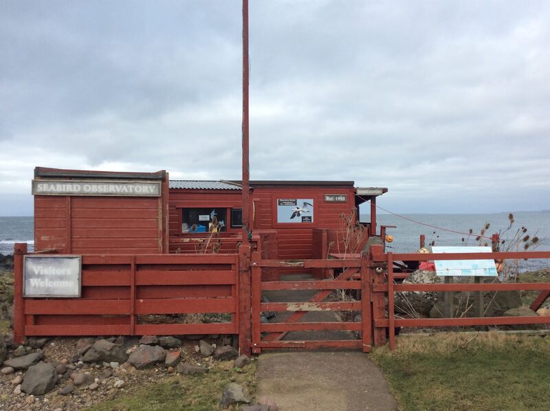 Machrihanish Seabird / Wildlife Observatory