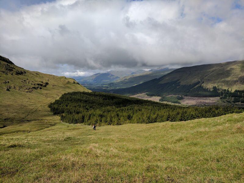 A grass slope above a block of conifers, with a glen and cloud-topped hills beyond.