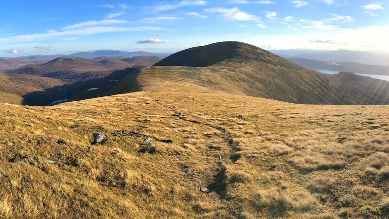 The rounded top of Meall Gorm across tawny grass, in low sun.