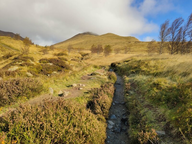 A stony path through heather and grass towards a rounded top in sun.