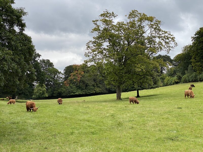 Pollok Country Park